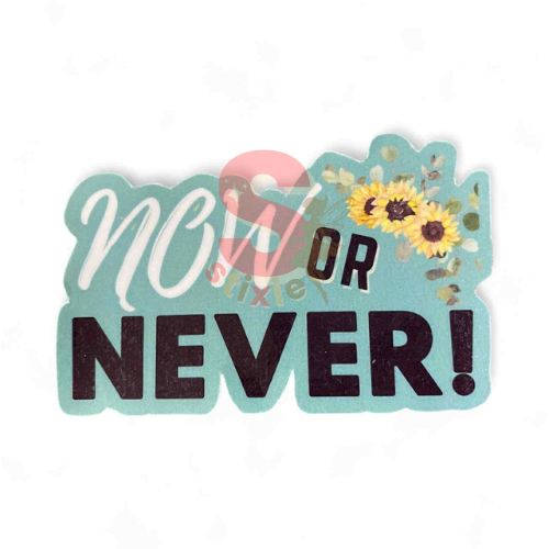 NOW OR NEVER- Vinyl/Waterproof/Matte